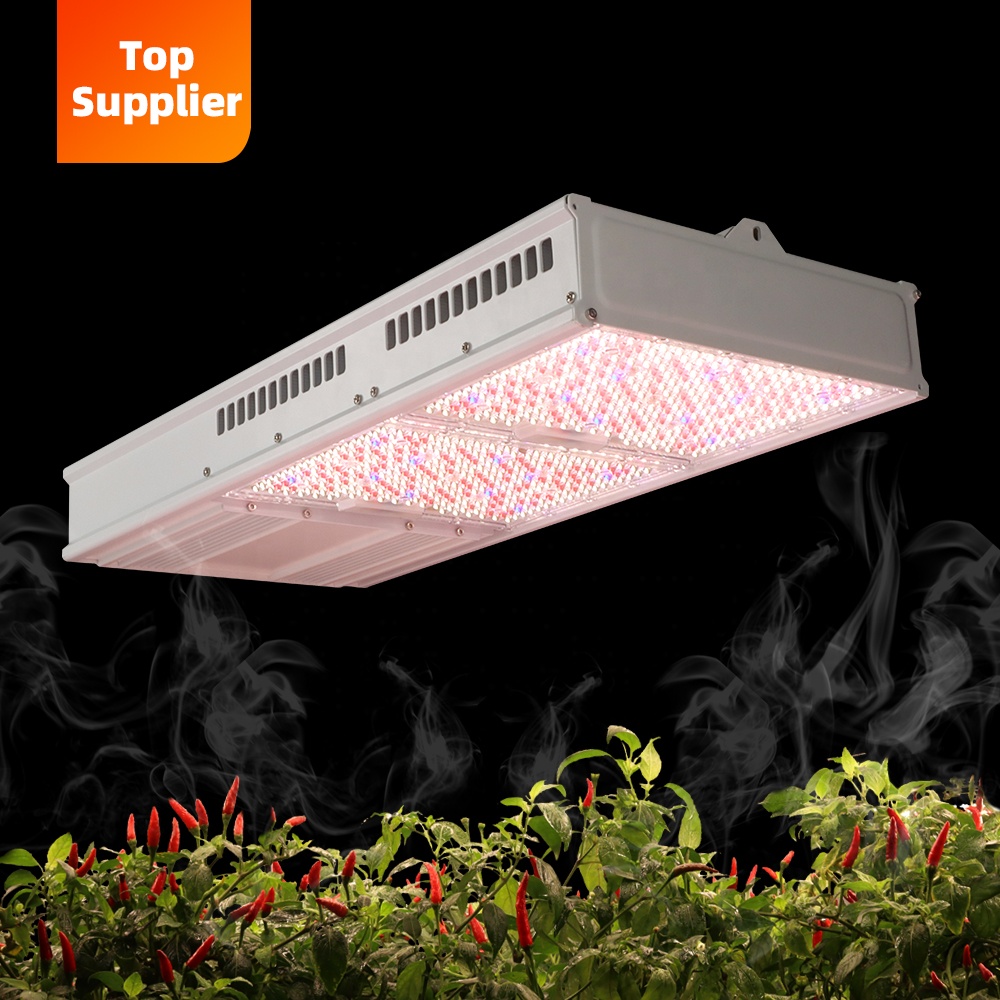 Indoor Plants - 費用対効果の高い600W 800Wトップライトフルスペクトル屋内植物育成LEDライト、HPS HID CMH育成ライト600W 1000Wの代替品
