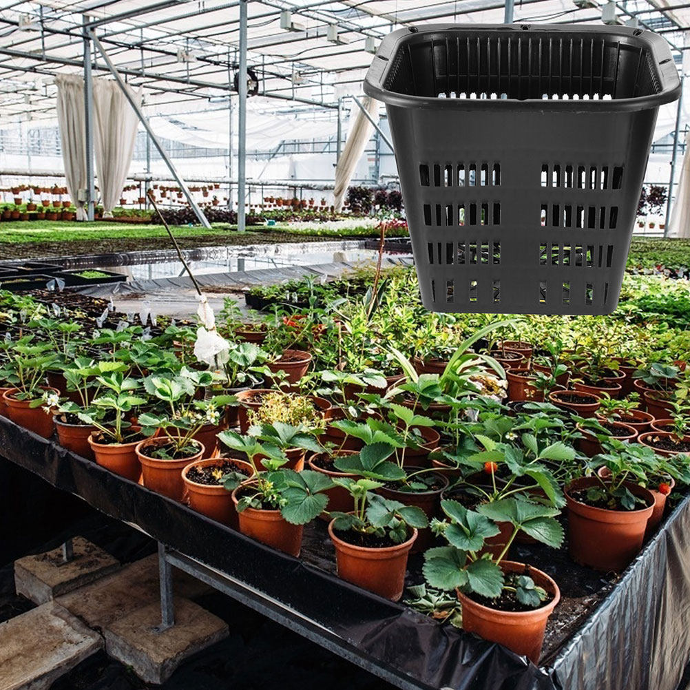 15個入り、根の成長を促進するプランター、15cm、高品質プ - Indoor Plants のレビューと価格