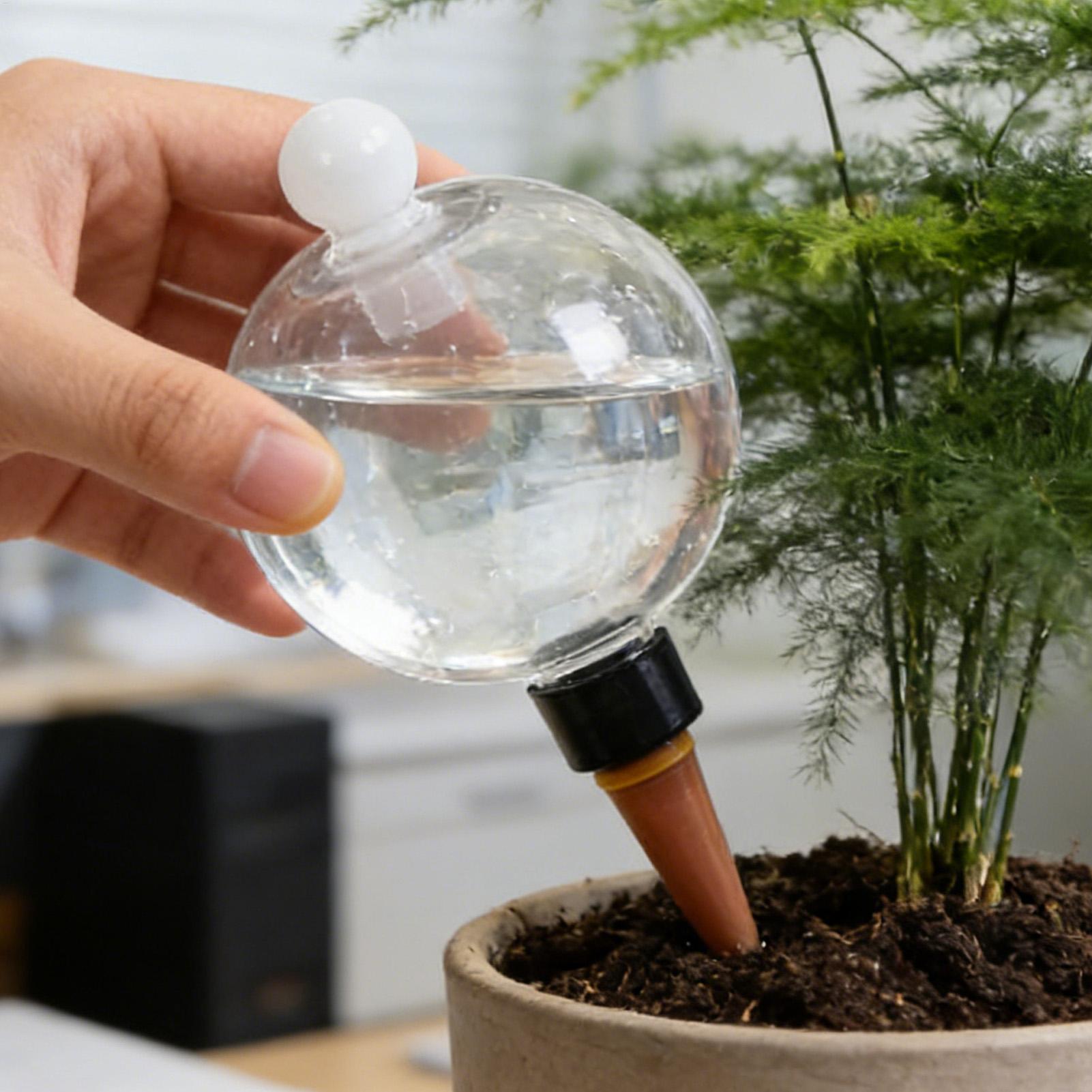 植物散水用ボール 4個入り 500ml 透明自動給水グローブ - Pothos のレビューと価格