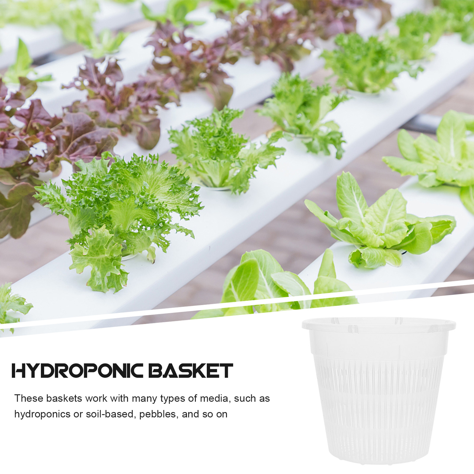 5個入り、水耕栽培用ネットポット、プラスチック製バスケット、 - Indoor Plants のレビューと価格