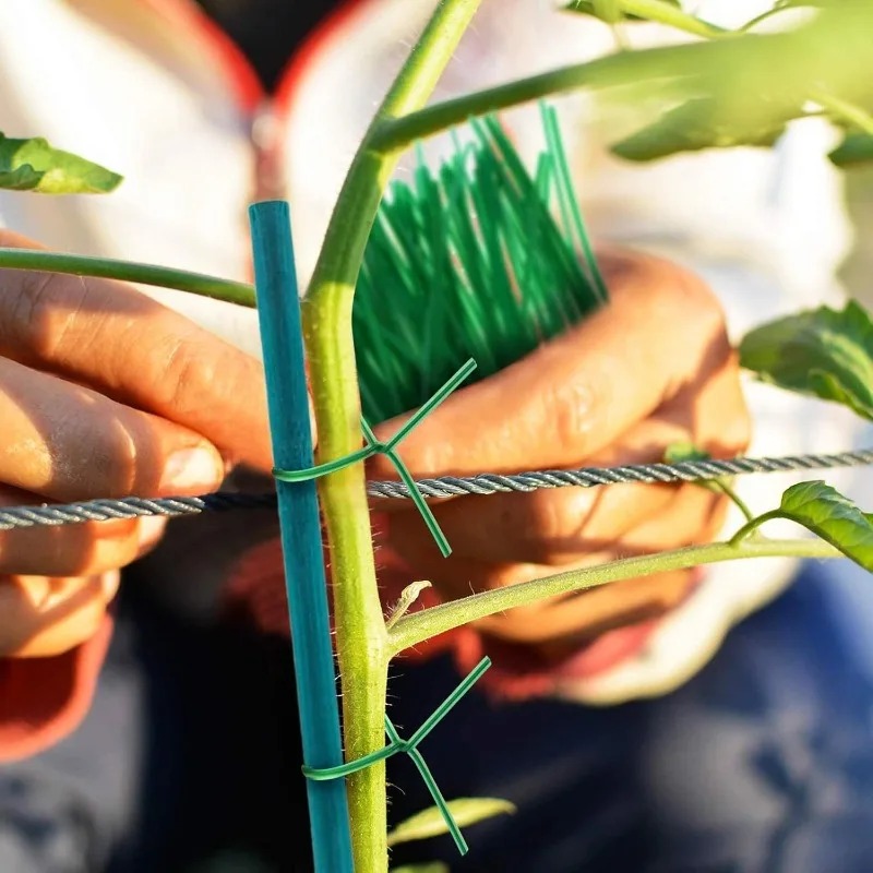 植物支柱、竹製支柱、植物用支柱、トマト支柱、花用支柱、つる性 - Plant Support Stake のレビューと価格