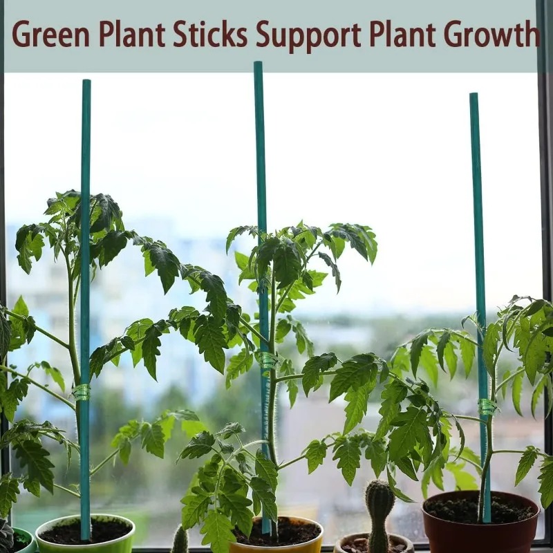 植物支柱、竹製支柱、植物用支柱、トマト支柱、花用支柱、つる性 - Plant Support Stake のレビューと価格