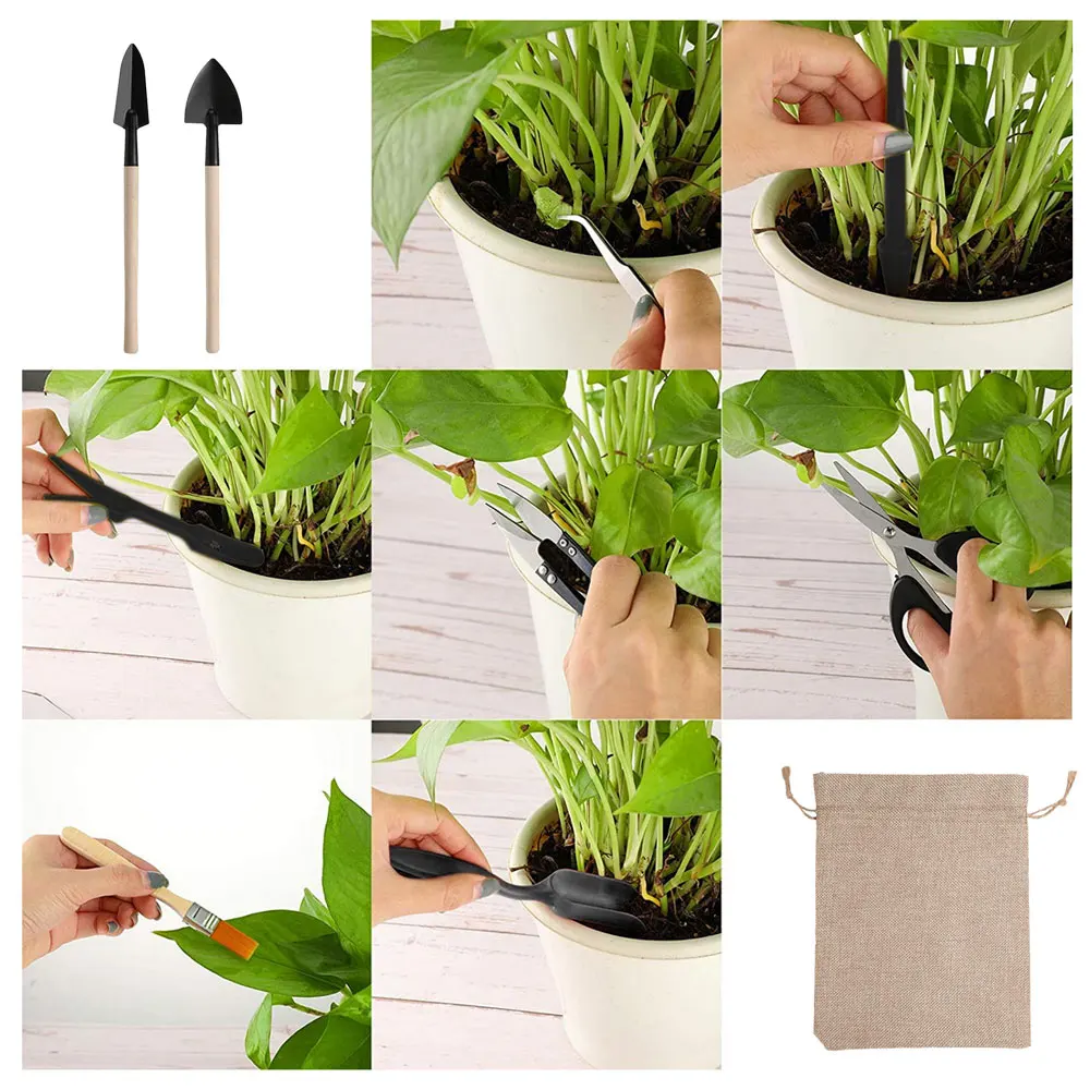 屋内多肉植物ツールセット、黒の鉢植え、サボテンの植物の栽培、 - Succulent Set のレビューと価格
