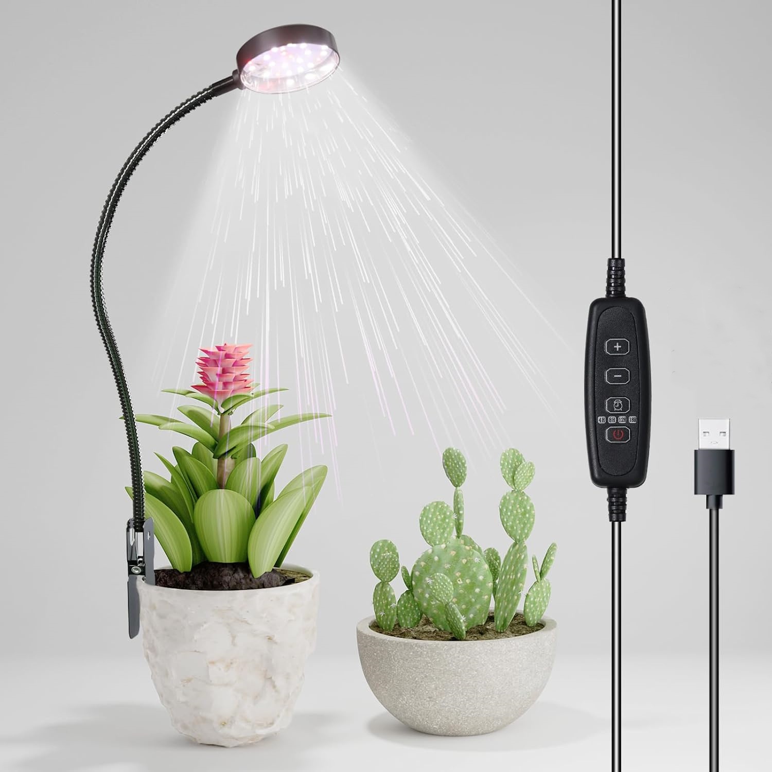 USB LED 成長ライト 6000K フルスペクトル鉢植え - Pothos のレビューと価格