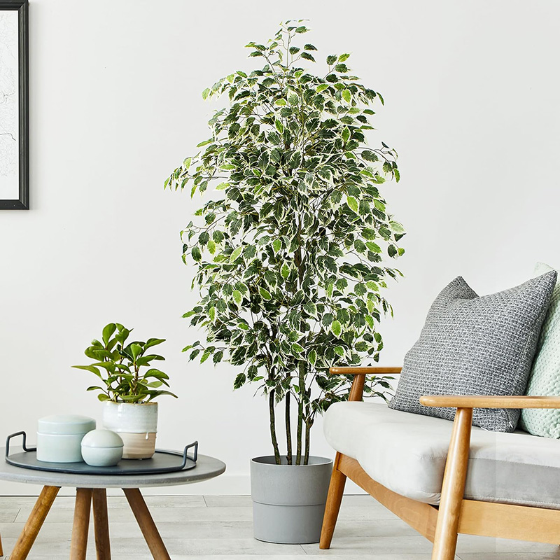70インチ人工イチジクの木フェイクフロア植物プラスチックガジ - Fiddle Leaf Fig のレビューと価格