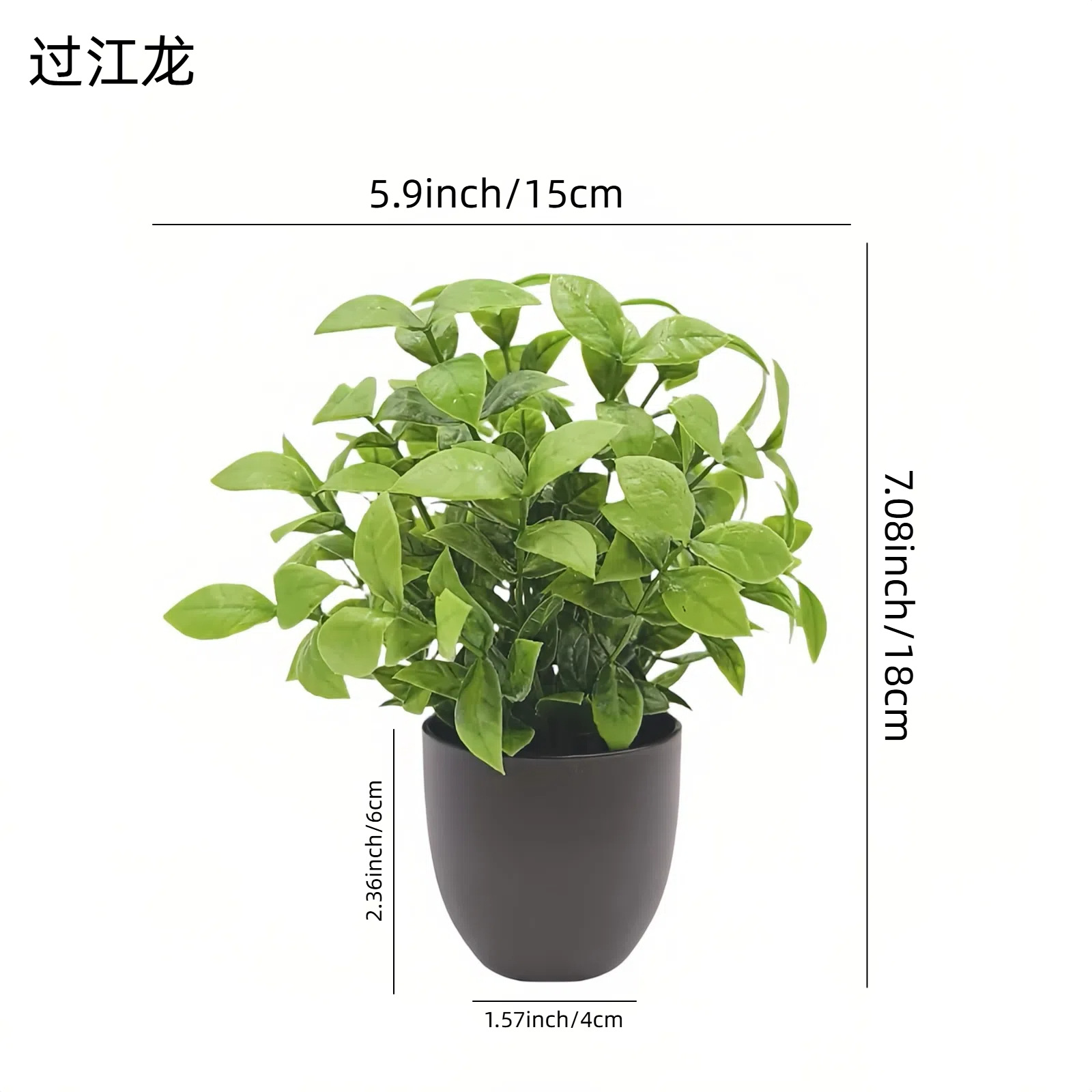 シミュレーショングリーンプラント盆栽　越境オフィスインテリア - Succulent Set のレビューと価格