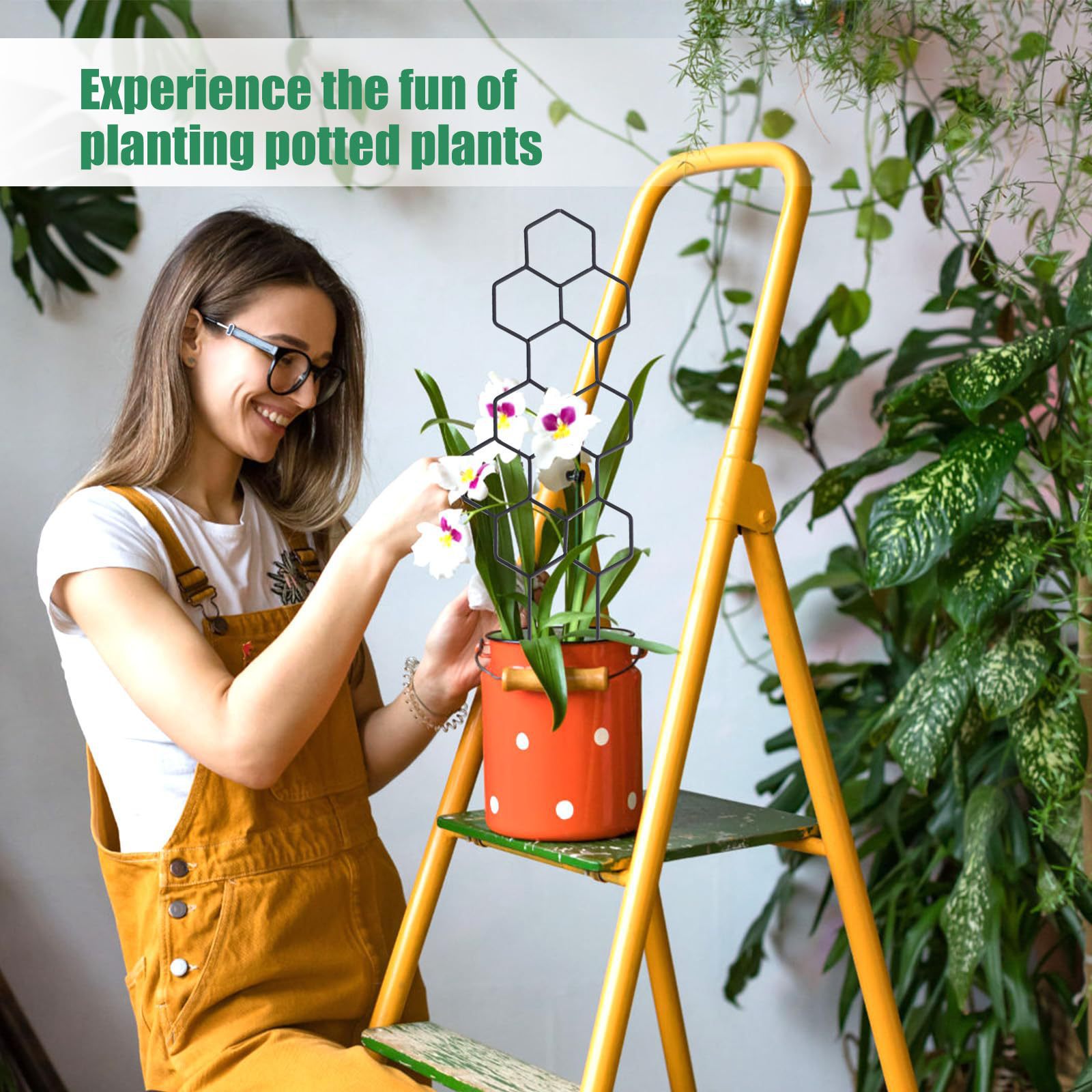 1PC ハニカムデザイン植物トレリス、鉢植えのつるや花用の防 - Pothos のレビューと価格
