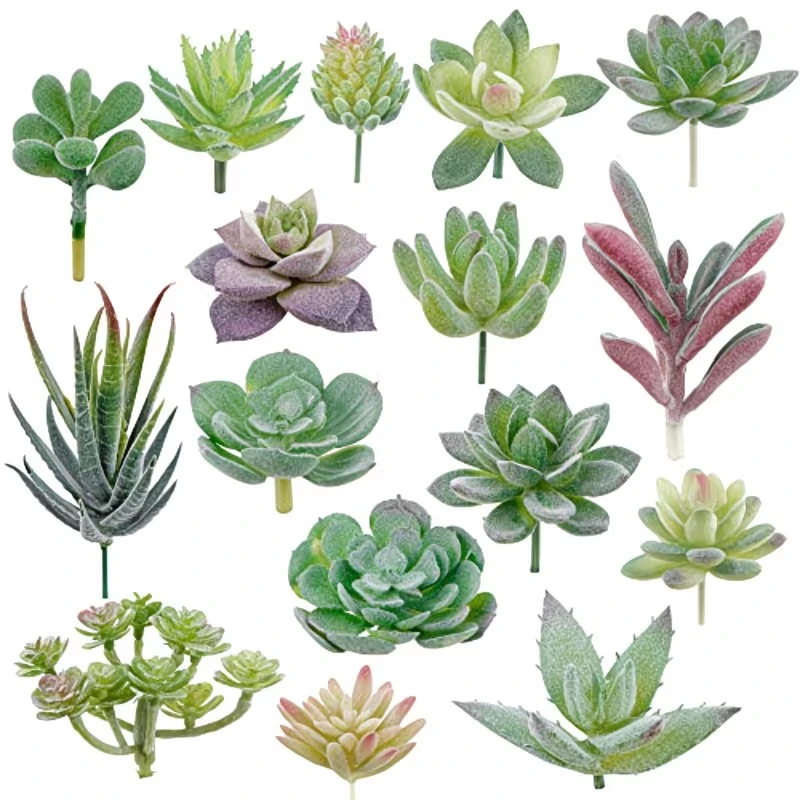 10/20 個 PVC 多肉植物グリーンフェイク多肉植物家庭 - Snake Plant のレビューと価格